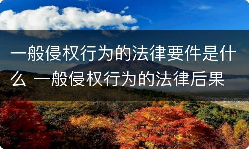 一般侵权行为的法律要件是什么 一般侵权行为的法律后果