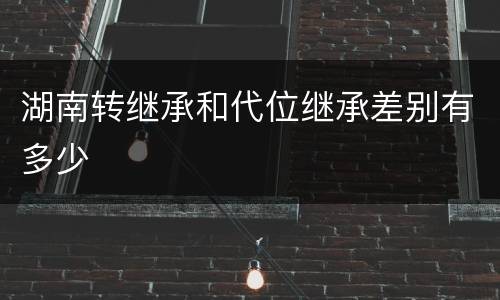湖南转继承和代位继承差别有多少