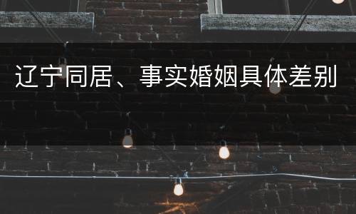 辽宁同居、事实婚姻具体差别