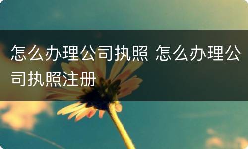 怎么办理公司执照 怎么办理公司执照注册