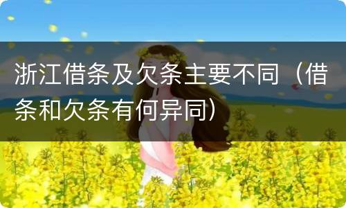 浙江借条及欠条主要不同（借条和欠条有何异同）