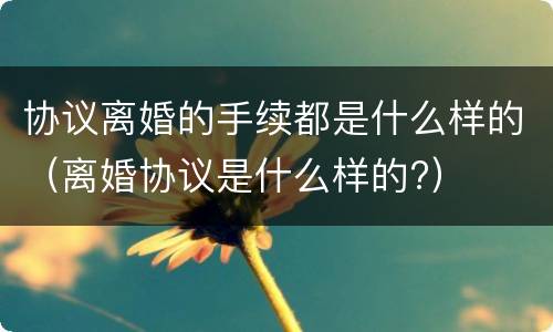 协议离婚的手续都是什么样的（离婚协议是什么样的?）