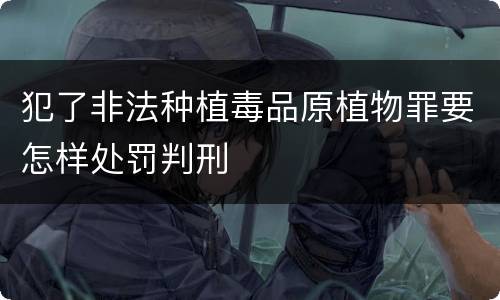犯了非法种植毒品原植物罪要怎样处罚判刑