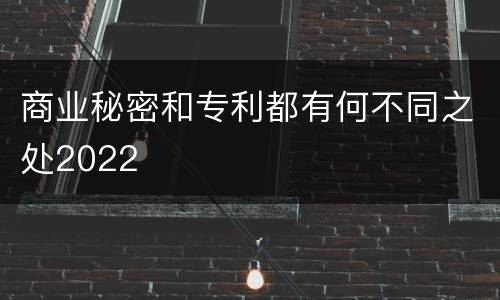 商业秘密和专利都有何不同之处2022