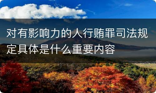 对有影响力的人行贿罪司法规定具体是什么重要内容