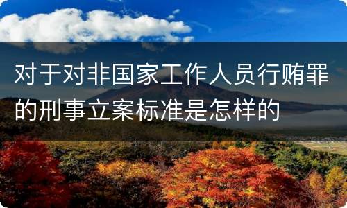 对于对非国家工作人员行贿罪的刑事立案标准是怎样的