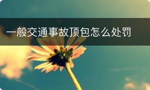 一般交通事故顶包怎么处罚