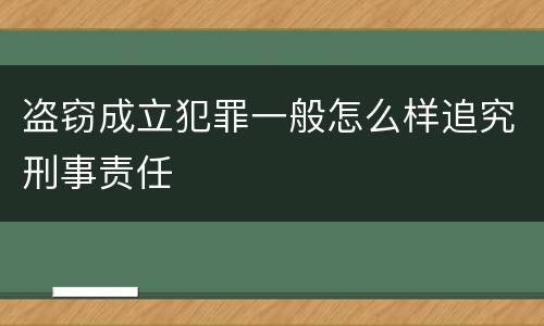 盗窃成立犯罪一般怎么样追究刑事责任