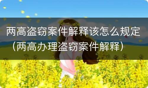 两高盗窃案件解释该怎么规定（两高办理盗窃案件解释）