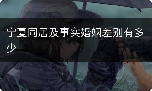 宁夏同居及事实婚姻差别有多少