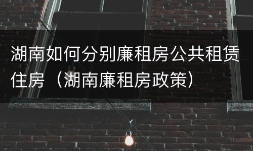 湖南如何分别廉租房公共租赁住房（湖南廉租房政策）