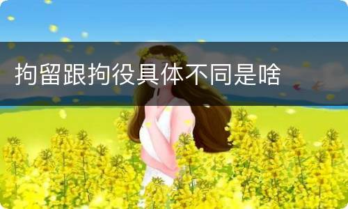 拘留跟拘役具体不同是啥