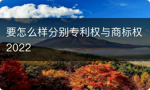 要怎么样分别专利权与商标权2022