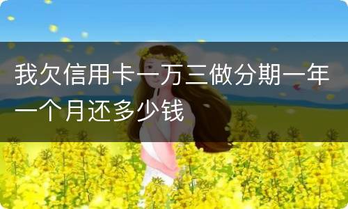 我欠信用卡一万三做分期一年一个月还多少钱