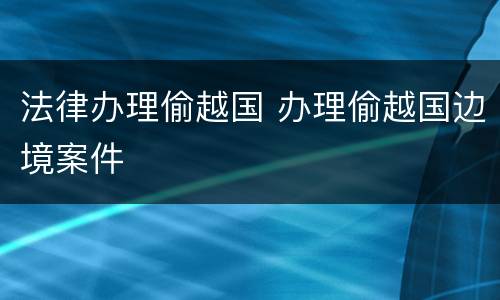 法律办理偷越国 办理偷越国边境案件