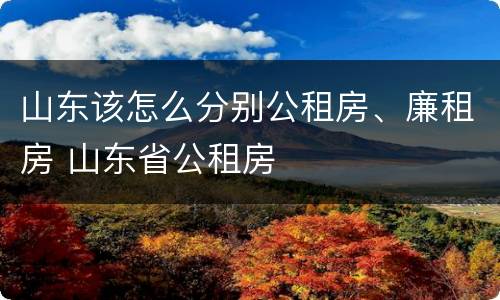 山东该怎么分别公租房、廉租房 山东省公租房