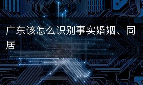 广东该怎么识别事实婚姻、同居