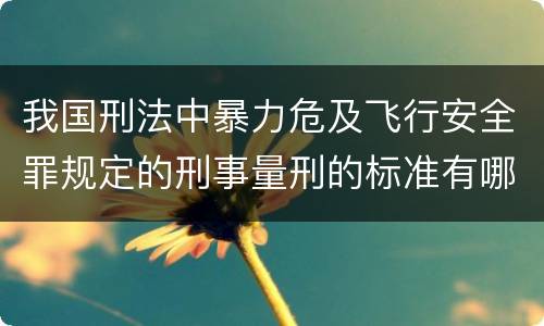 我国刑法中暴力危及飞行安全罪规定的刑事量刑的标准有哪些