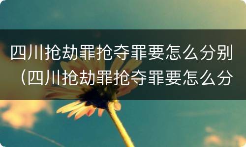 四川抢劫罪抢夺罪要怎么分别（四川抢劫罪抢夺罪要怎么分别判决）