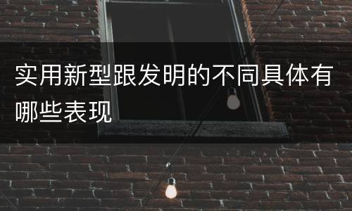 实用新型跟发明的不同具体有哪些表现