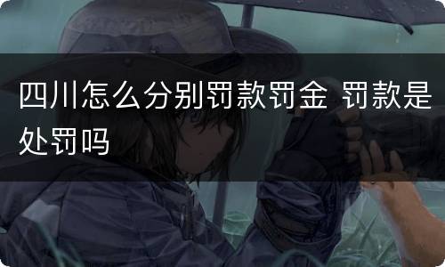 四川怎么分别罚款罚金 罚款是处罚吗