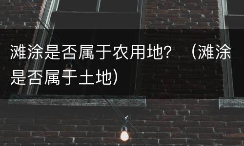 滩涂是否属于农用地？（滩涂是否属于土地）