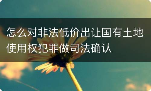 怎么对非法低价出让国有土地使用权犯罪做司法确认