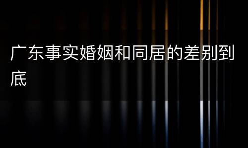 广东事实婚姻和同居的差别到底