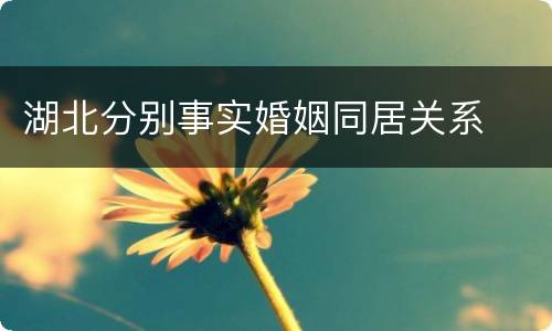 湖北分别事实婚姻同居关系