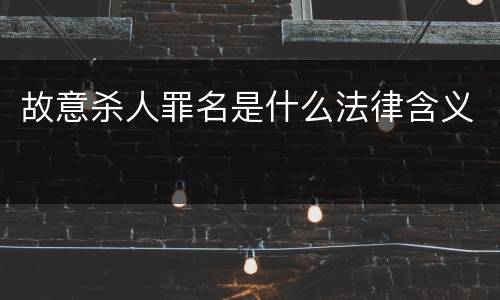 故意杀人罪名是什么法律含义