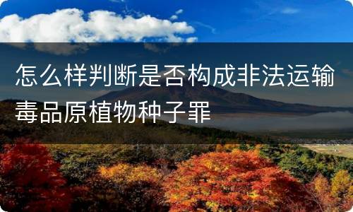 怎么样判断是否构成非法运输毒品原植物种子罪