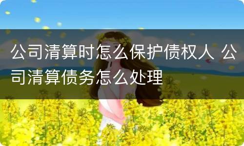 公司清算时怎么保护债权人 公司清算债务怎么处理