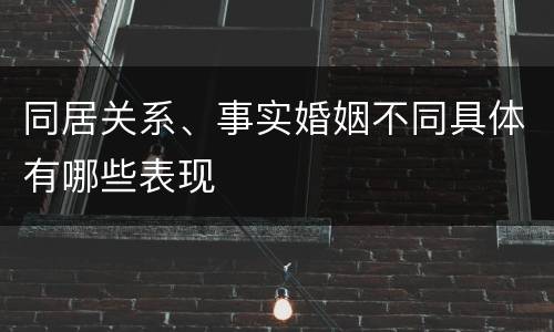同居关系、事实婚姻不同具体有哪些表现