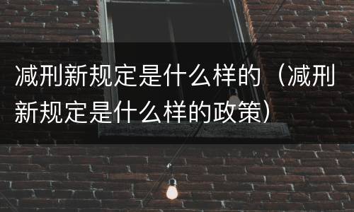 减刑新规定是什么样的（减刑新规定是什么样的政策）
