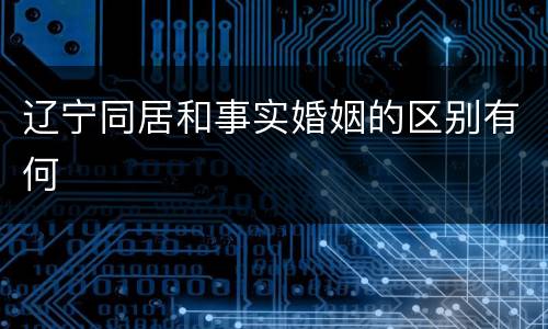 辽宁同居和事实婚姻的区别有何
