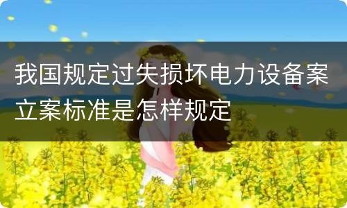 我国规定过失损坏电力设备案立案标准是怎样规定