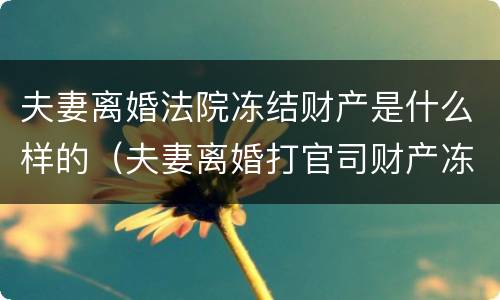 夫妻离婚法院冻结财产是什么样的（夫妻离婚打官司财产冻结）