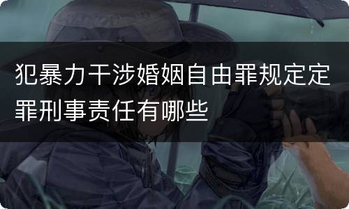犯暴力干涉婚姻自由罪规定定罪刑事责任有哪些