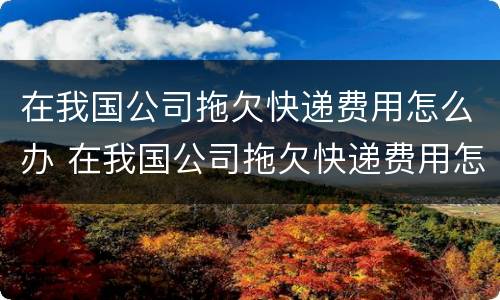 在我国公司拖欠快递费用怎么办 在我国公司拖欠快递费用怎么办理