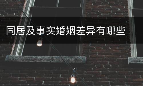 同居及事实婚姻差异有哪些