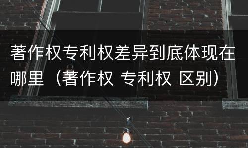 著作权专利权差异到底体现在哪里（著作权 专利权 区别）