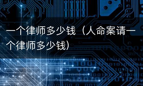 一个律师多少钱（人命案请一个律师多少钱）