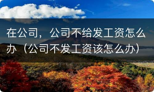 在公司，公司不给发工资怎么办（公司不发工资该怎么办）
