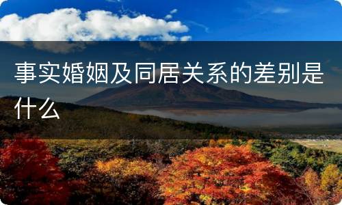 事实婚姻及同居关系的差别是什么