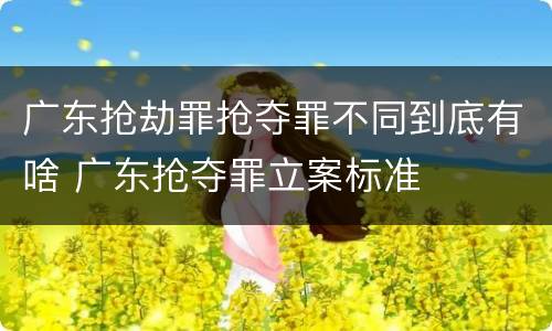 广东抢劫罪抢夺罪不同到底有啥 广东抢夺罪立案标准