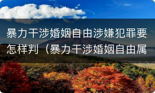 暴力干涉婚姻自由涉嫌犯罪要怎样判（暴力干涉婚姻自由属于犯罪吗）