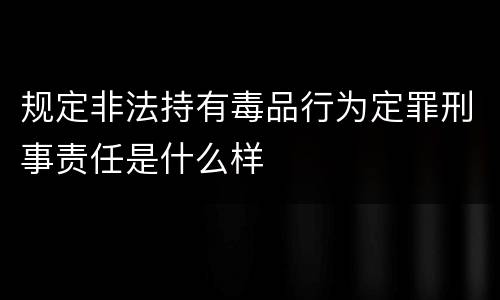 规定非法持有毒品行为定罪刑事责任是什么样