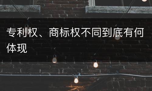 专利权、商标权不同到底有何体现