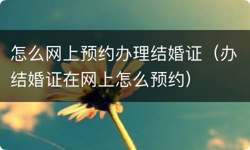 怎么网上预约办理结婚证（办结婚证在网上怎么预约）