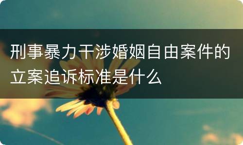 刑事暴力干涉婚姻自由案件的立案追诉标准是什么
